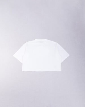 Rebere-230
