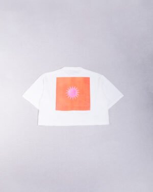 Rebere-241